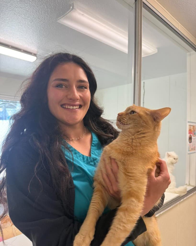 Staff members proudly displaying the Best Friends Network No-Kill Shelter award