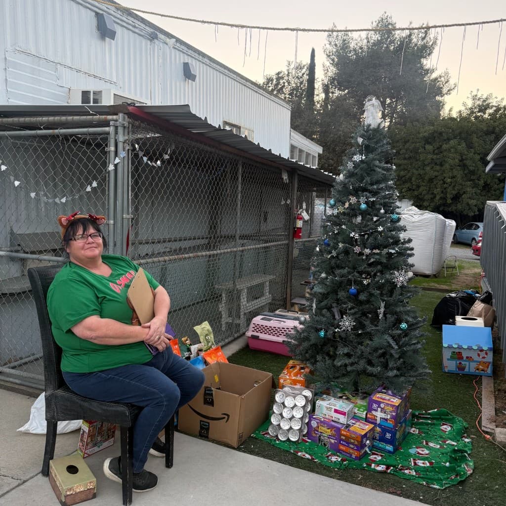 Shelter volunteer wearing a Friends of Cats shirt at a holiday event