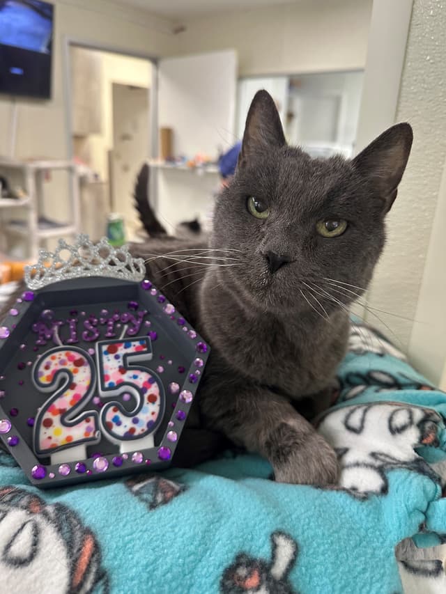 Misty beside her decorated 25th birthday sign