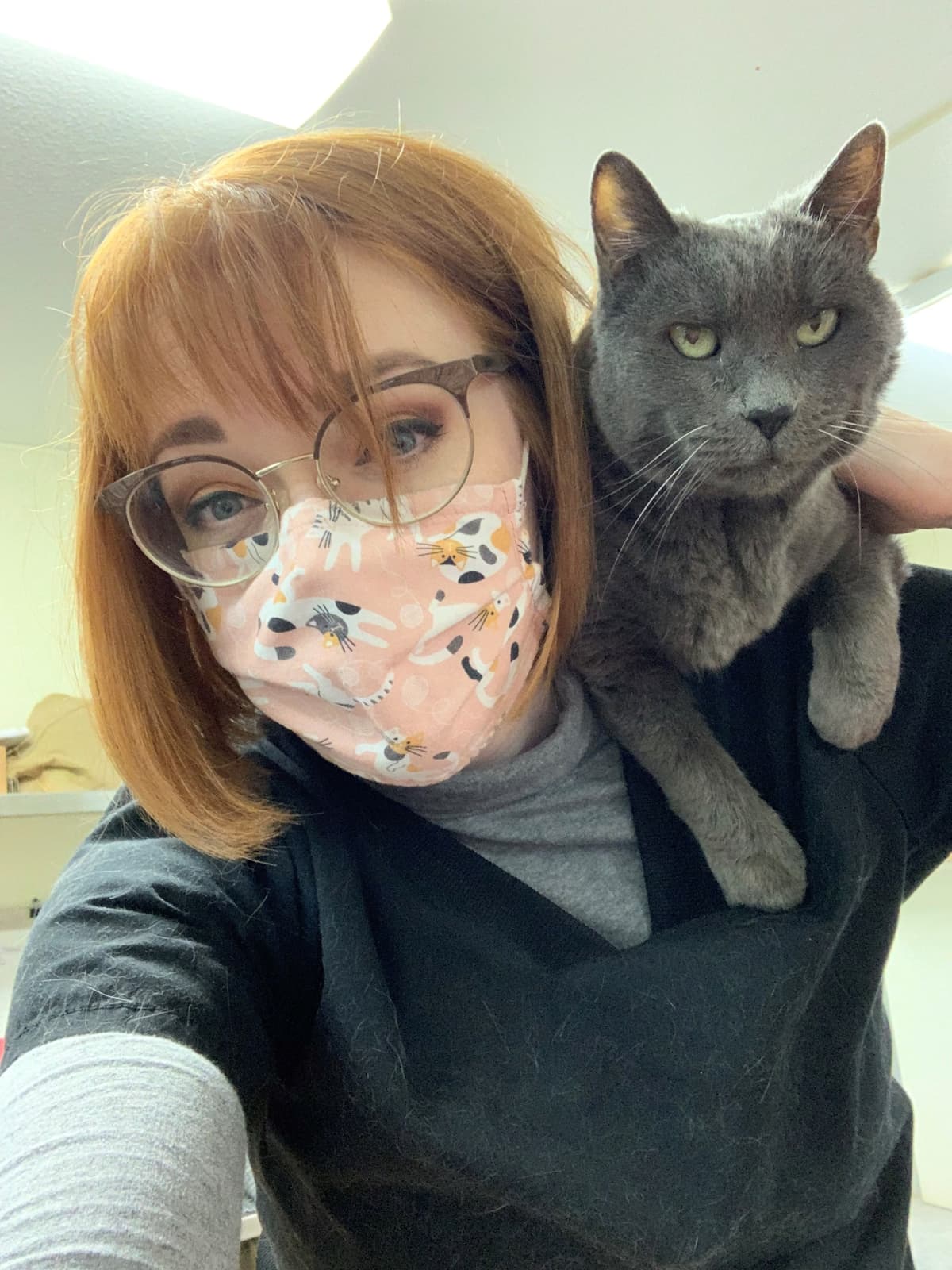 Misty resting on a person’s shoulder at the shelter